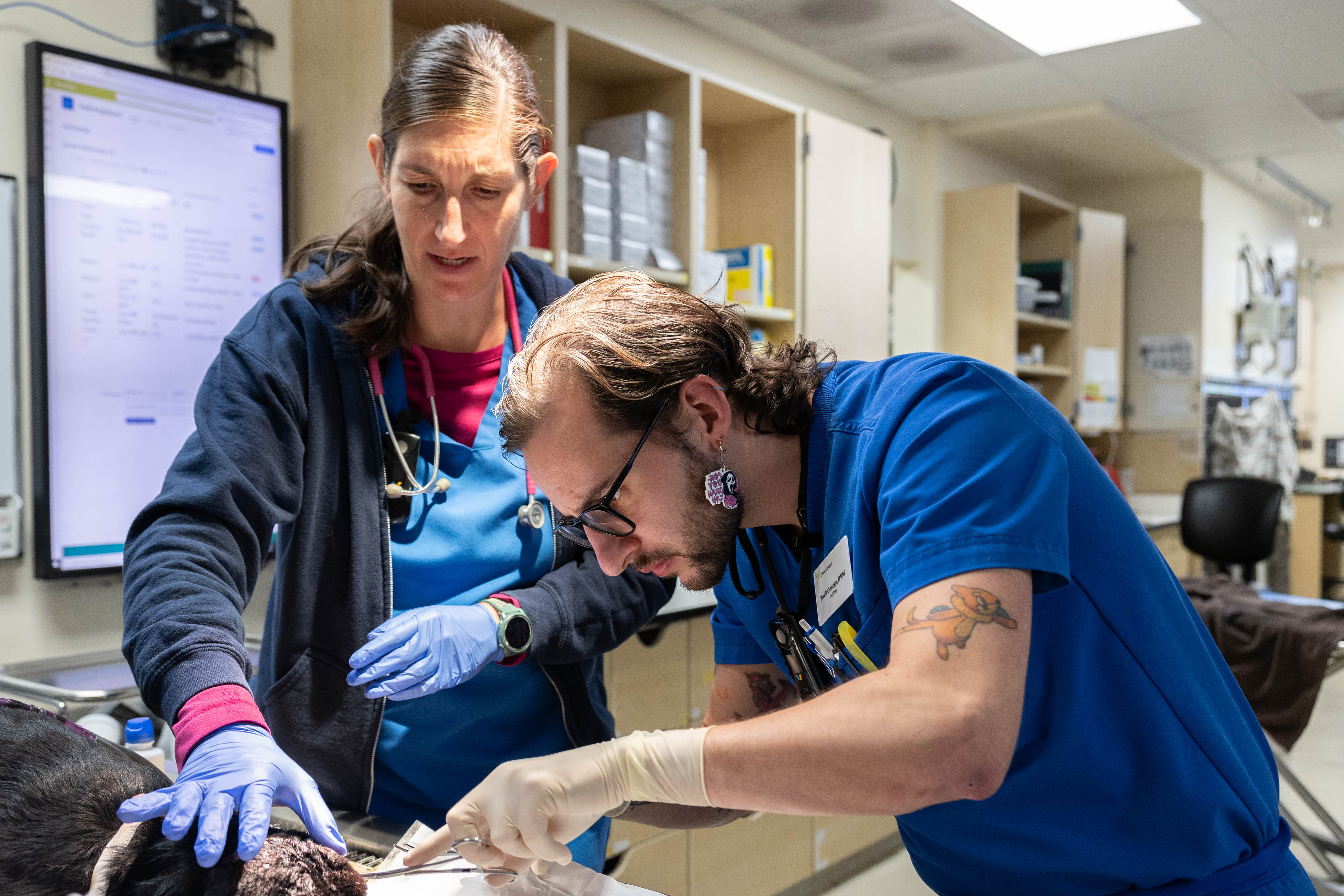 Veterinary Rotating Internships at Travis Reid blog